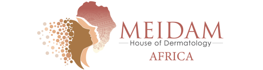 Meidam-Africa-Logo