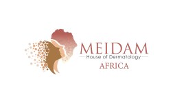 Meidam-Africa-Logo